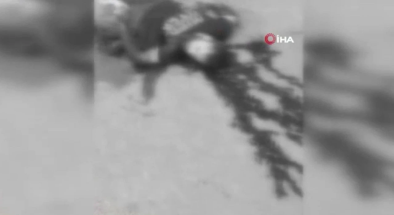 Sokak ortasında dehşet yaşandı: Yabancı uyruklu şahsı kayınpederi bıçakladı