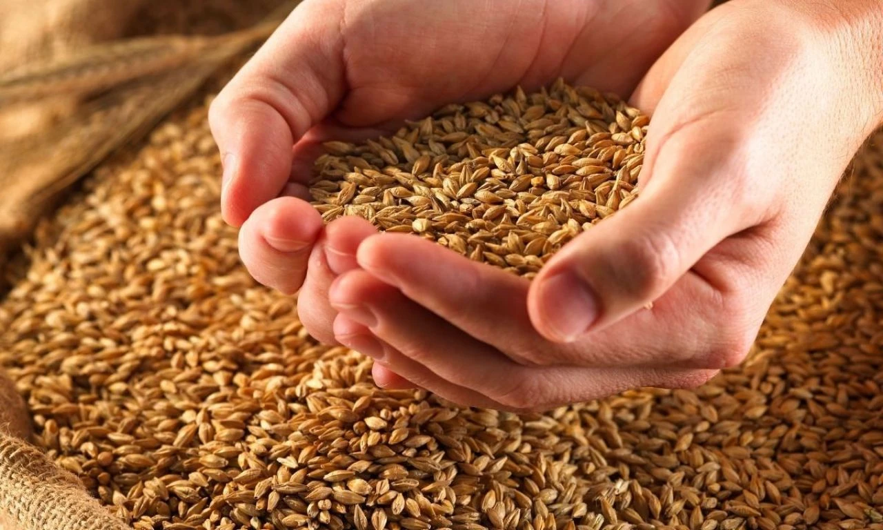 Türkiye’nin stokları dolu! TMO’nun buğday alımında yüksek fiyat beklenmiyor - 2. Resim