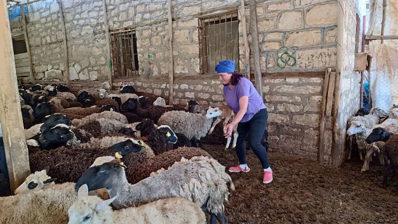 Devlet desteğiyle başladı şimdi kendi işinin patronu oldu: Paraya para demiyor - 1. Resim