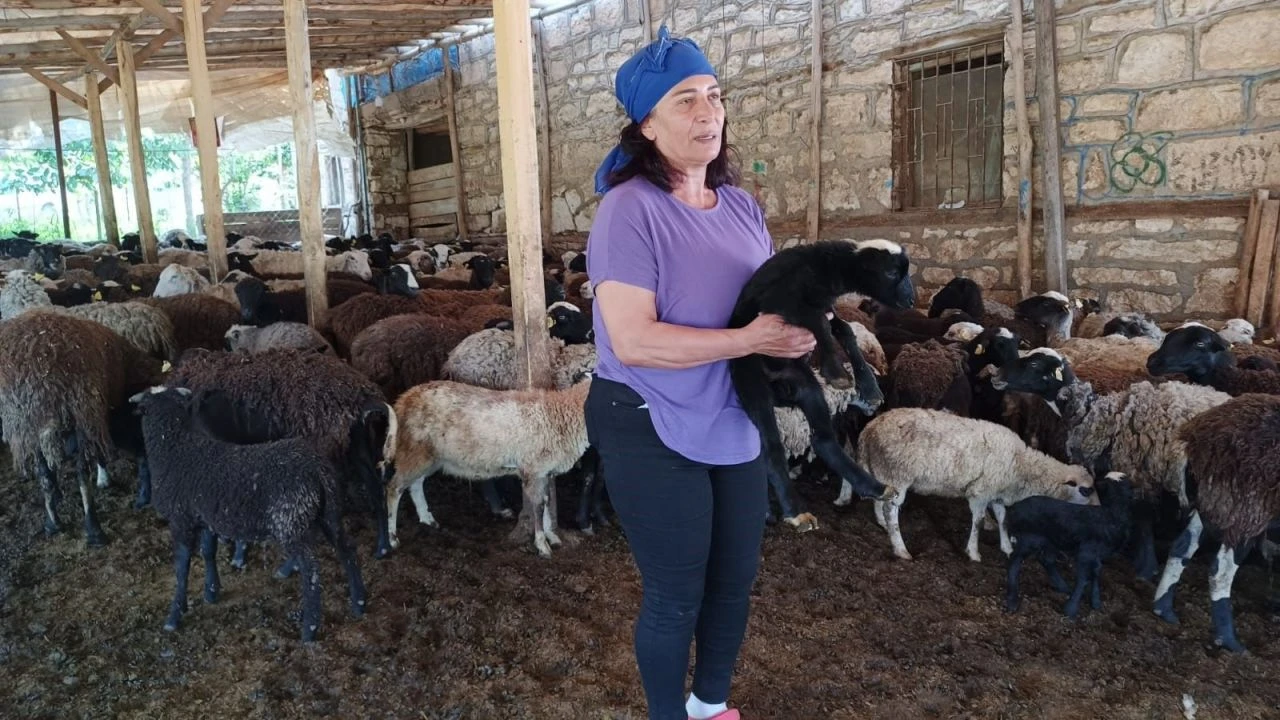 Devlet desteğiyle başladı şimdi kendi işinin patronu oldu: Paraya para demiyor - 2. Resim