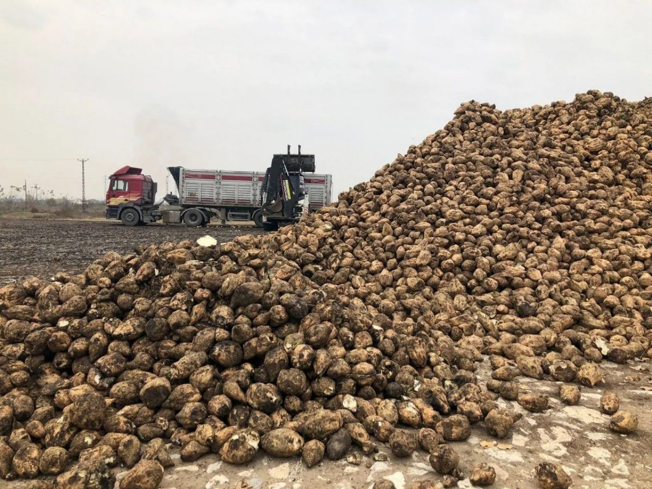 Şekerde yeni kotalar belirlendi