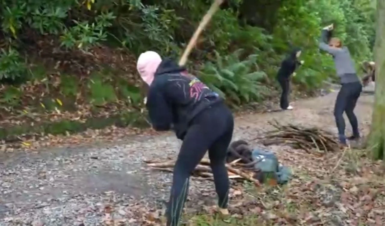 Sopaları yerlere vurup bağırmak için 65 bin ila 128 bin lira ödeme yapıyorlar - 1. Resim