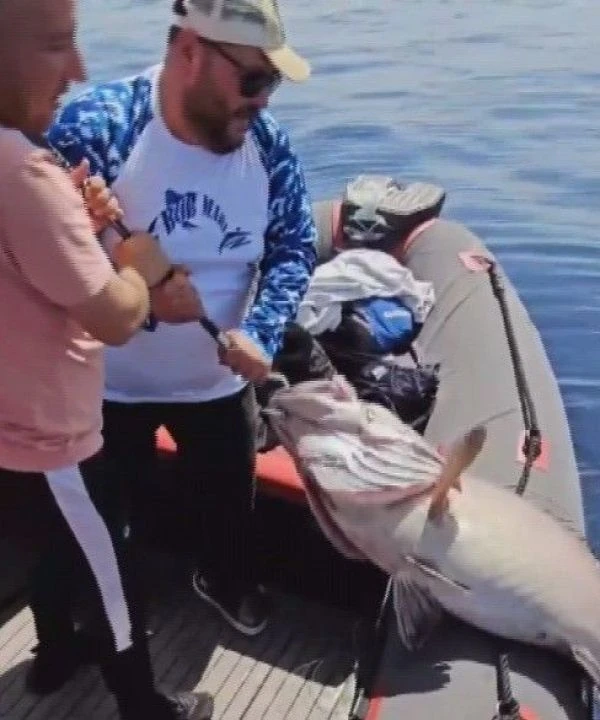 Evlilik yıl döneminde hayatının şokunu yaşadı: Devasa balığı güçlükle bota aldı - 1. Resim