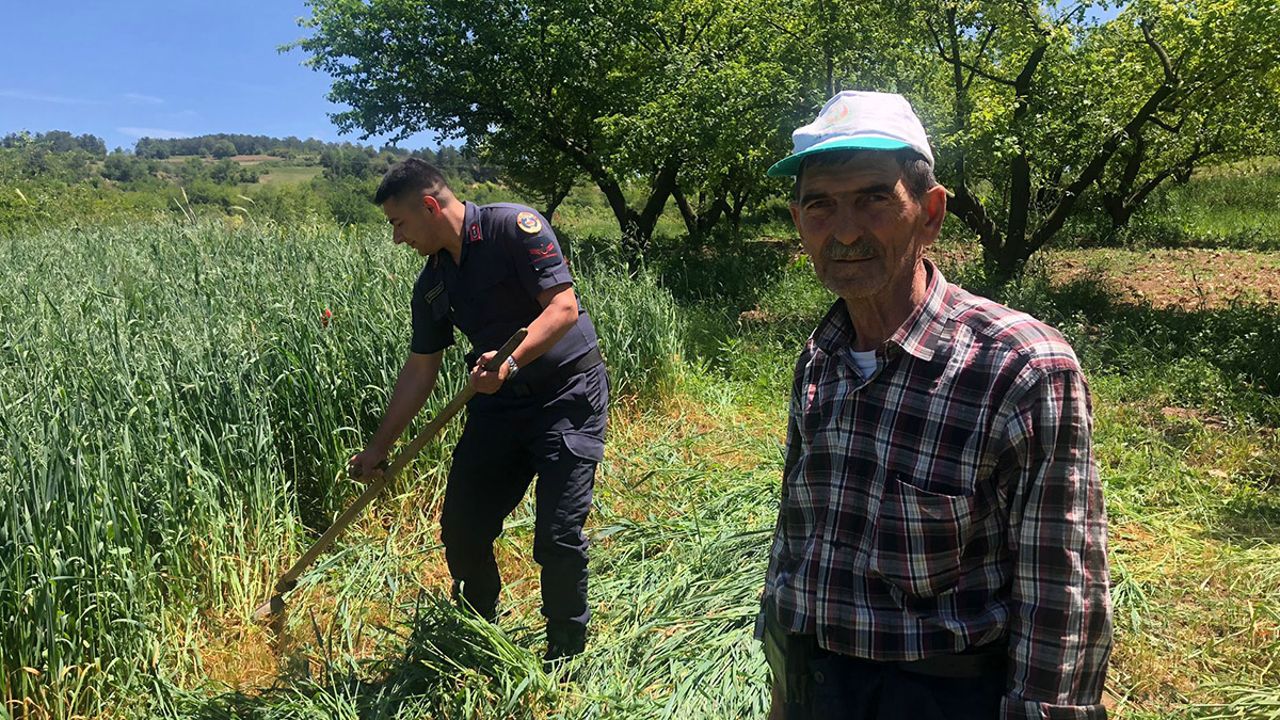 Jandarmandan yürekleri ısıtan hareket: Yaşlı çiftçinin yulaf biçtiğini görünce yardım etti