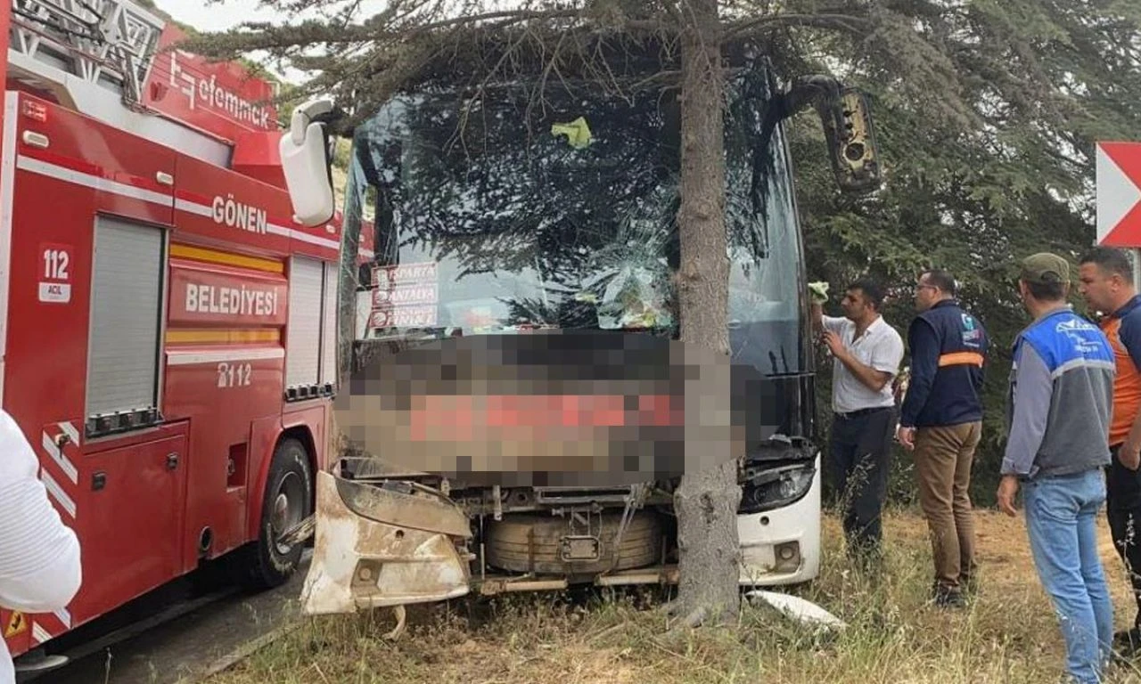 Yoldan çıkan otobüs ağaca çarptı! Çok sayıda yaralı var