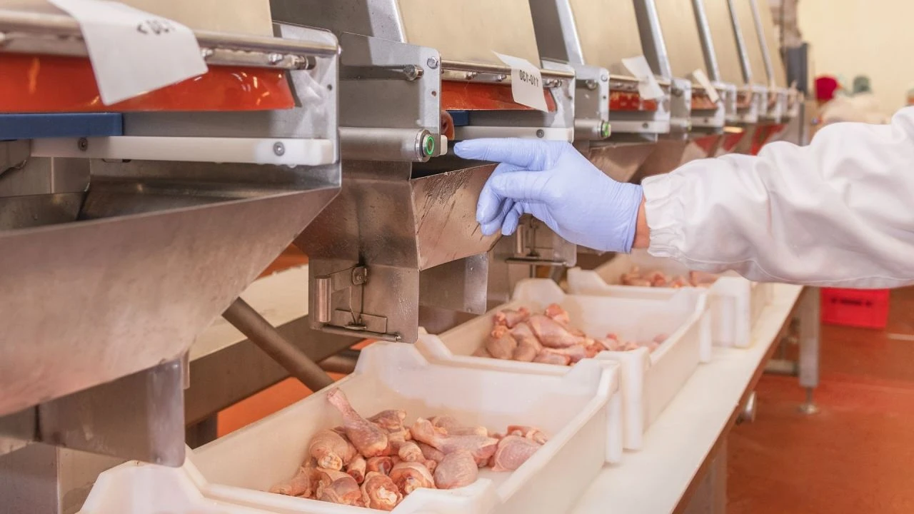 Kilosu 500 lira olan Kaşar peyniri almadan bir kez daha düşünün! Ambalajındaki işaretlere dikkat - 4. Resim