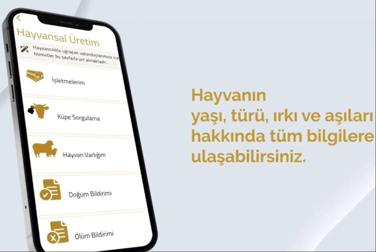 Kurbanlıklar cep telefonuna girdi! Tarım Cebimde uygulamasıyla sorgulanabilecek - 1. Resim
