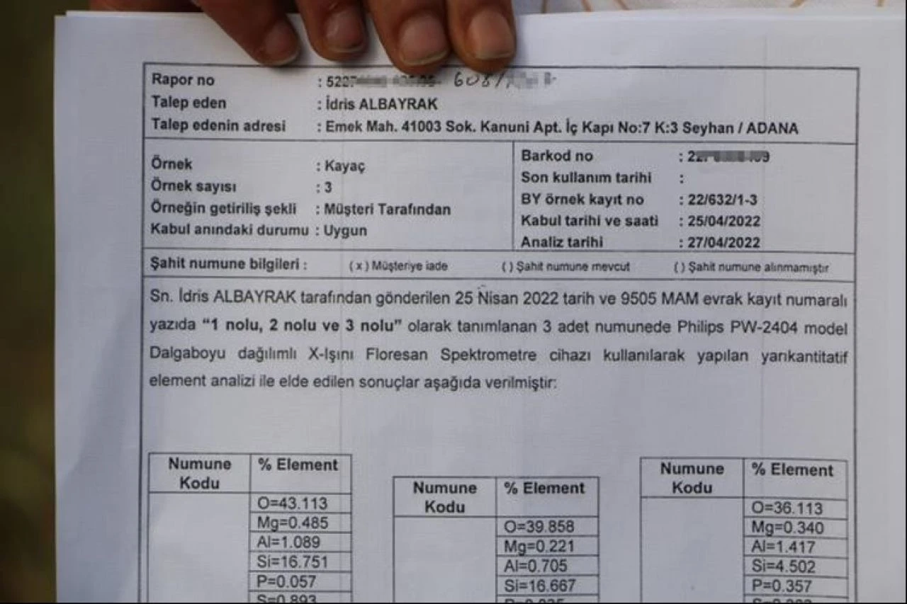 Piknik yaparken göktaşı buldu! Evlenmek için açık arttırmayla satışa çıkarttı