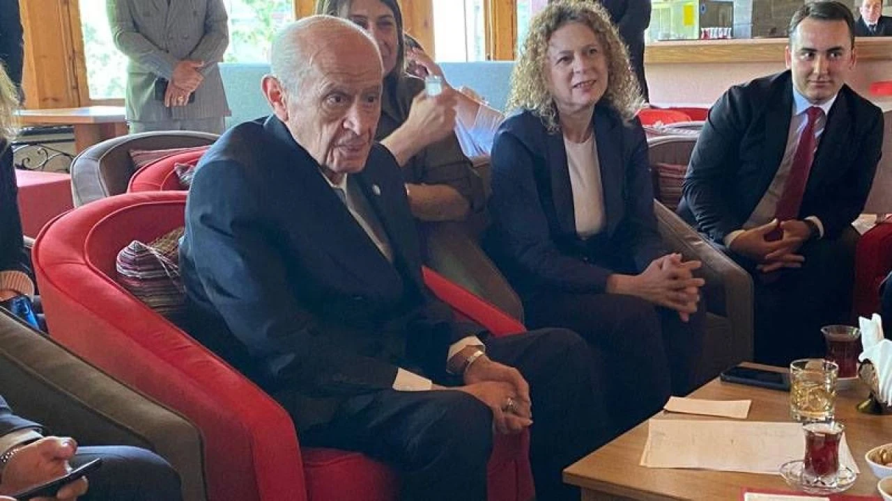 Bahçeli'den başıboş köpek sorununa ironik cevap: Öğlen sıcaklığında mutlaka uyurlar 