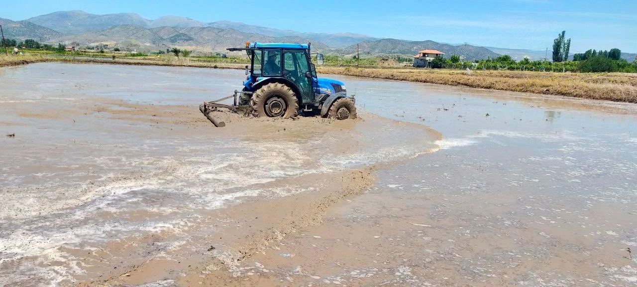 ‘Beyaz altın’ mesaisi başladı! Çiftçi bu seneki fiyattan 'umutlu'