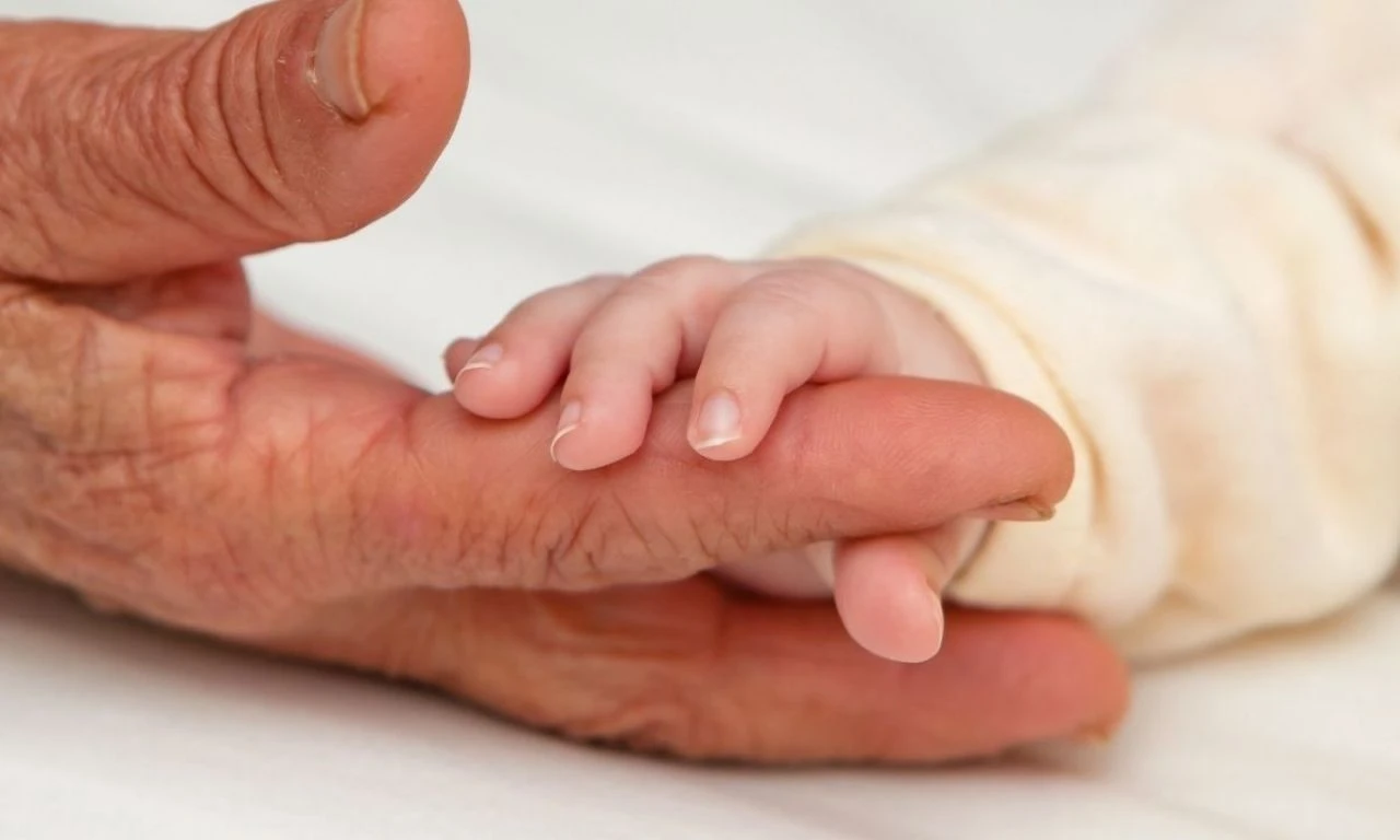 Emeklilik sisteminin sırtındaki yük artacak! Doğum oranındaki kritik detay, SGK’yı etkileyecek - 1. Resim