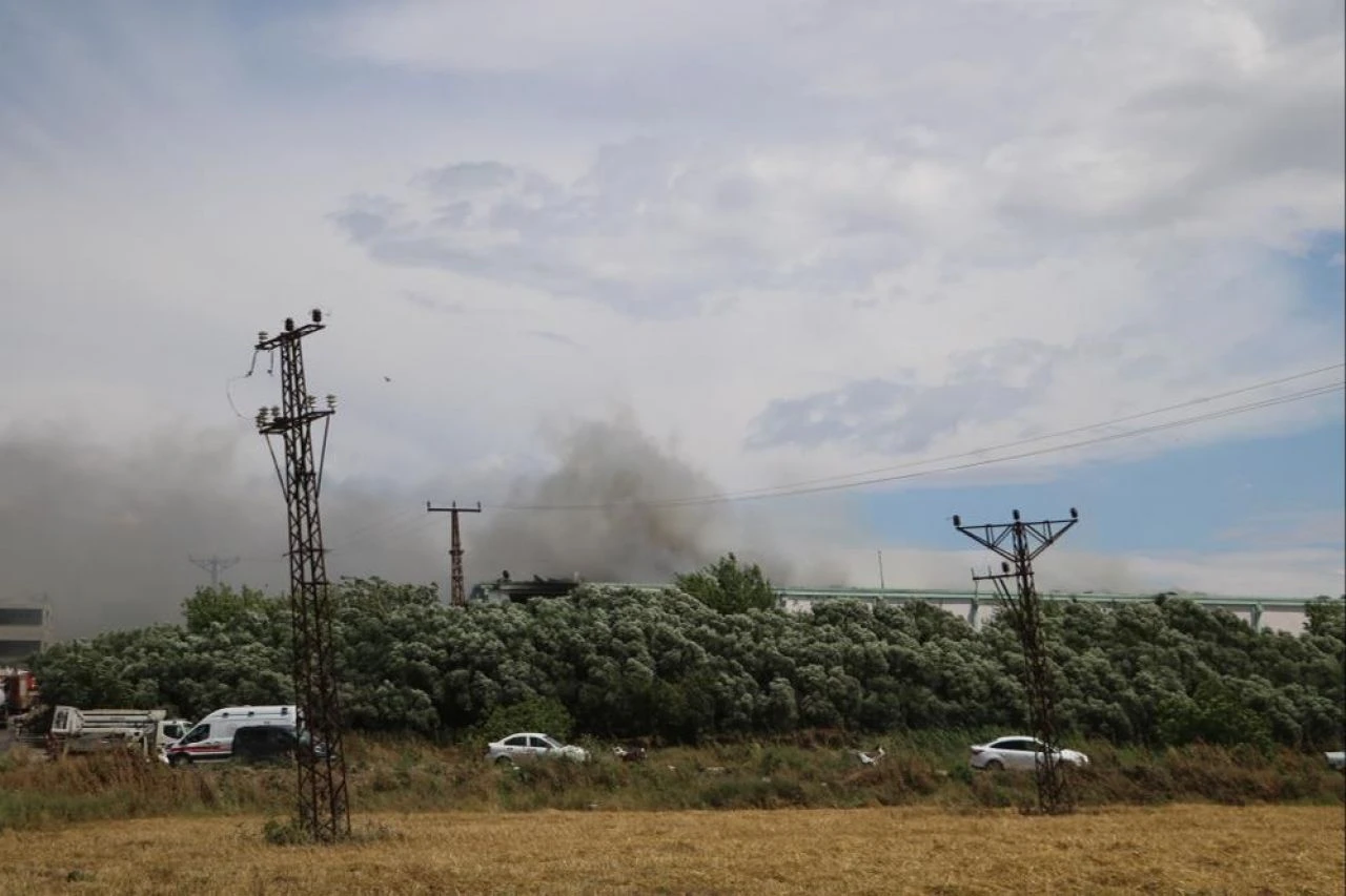 Zeytinyağı fabrikasında korkutan yangın - 3. Resim