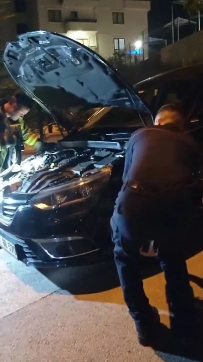 Otomobile giren yılan panikletti! Yılana gaz sıkarak mücadele ettiler - 1. Resim
