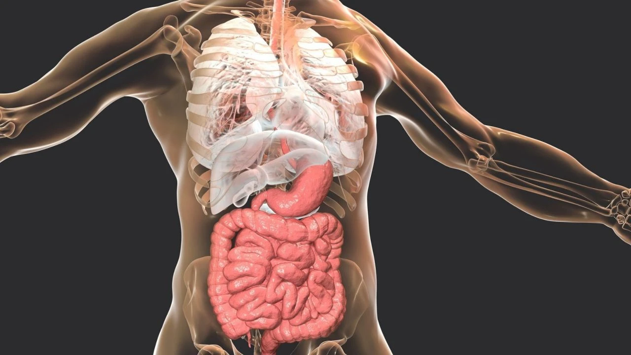 İnsan vücudundaki yedek organlar! Kaburgadan burun yapıldı - 2. Resim