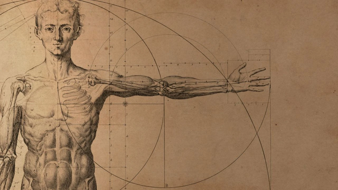 İnsan vücudundaki yedek organlar! Kaburgadan burun yapıldı - 3. Resim