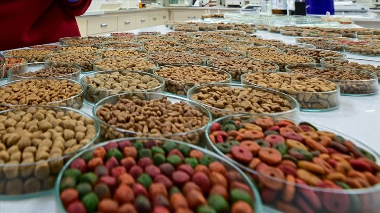 'Katliam' çığırtkanlığı yapan hayvanseverlerin maskesini düşürecek rapor: Mama lobisindeki rakamlar dudak uçuklatıyor