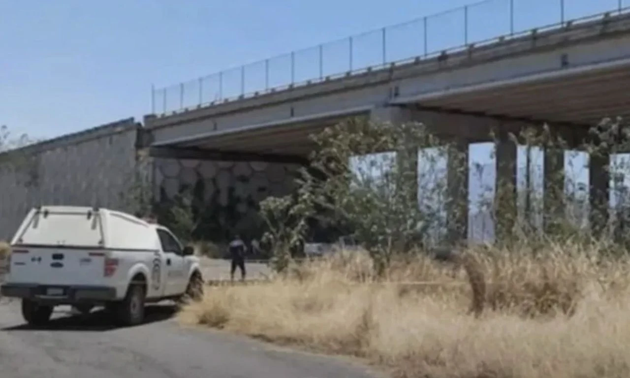 Venezuelalı modelin fotoğraf sevdası canına mal oldu - 1. Resim