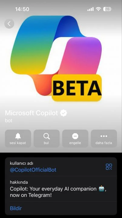 Yapay zeka Microsoft Copilot, Telegram platformunda sunuldu - 2. Resim
