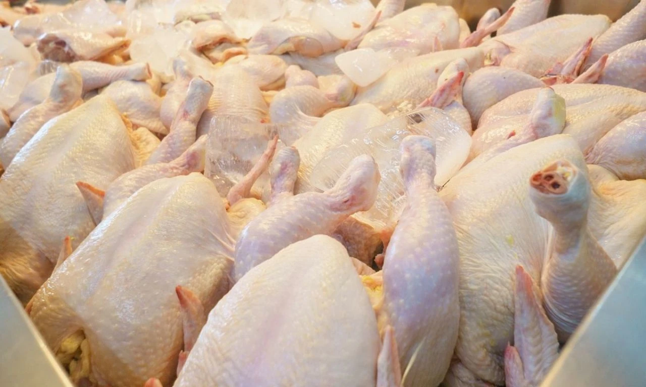 Beyaz et piyasasına fiyat soruşturması! 4 firmaya ceza yağdı