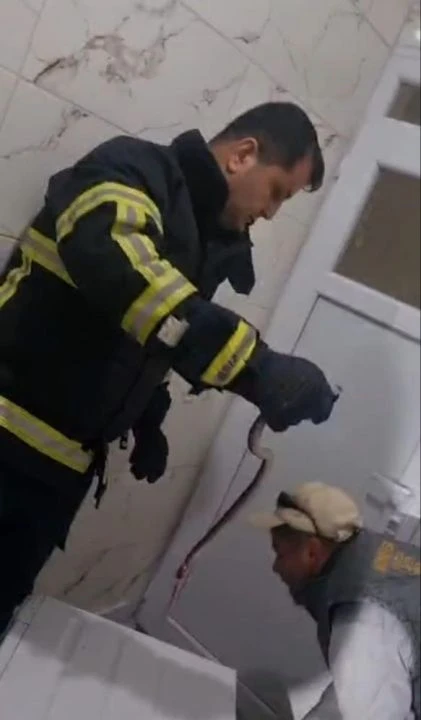 Çamaşır yıkamak istemişti, hayatının şokunu yaşadı