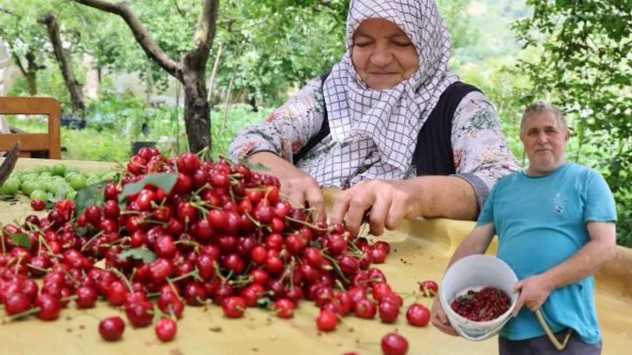 Diyet ve tansiyona bire bir: Kilosu 200 liradan satılıyor