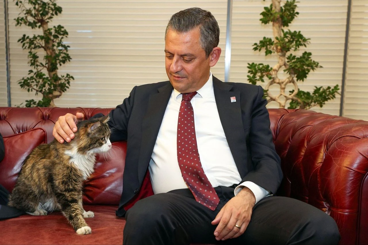 Özgür Özel'den CHP'nin kedisi 'Şero' paylaşımı - 1. Resim