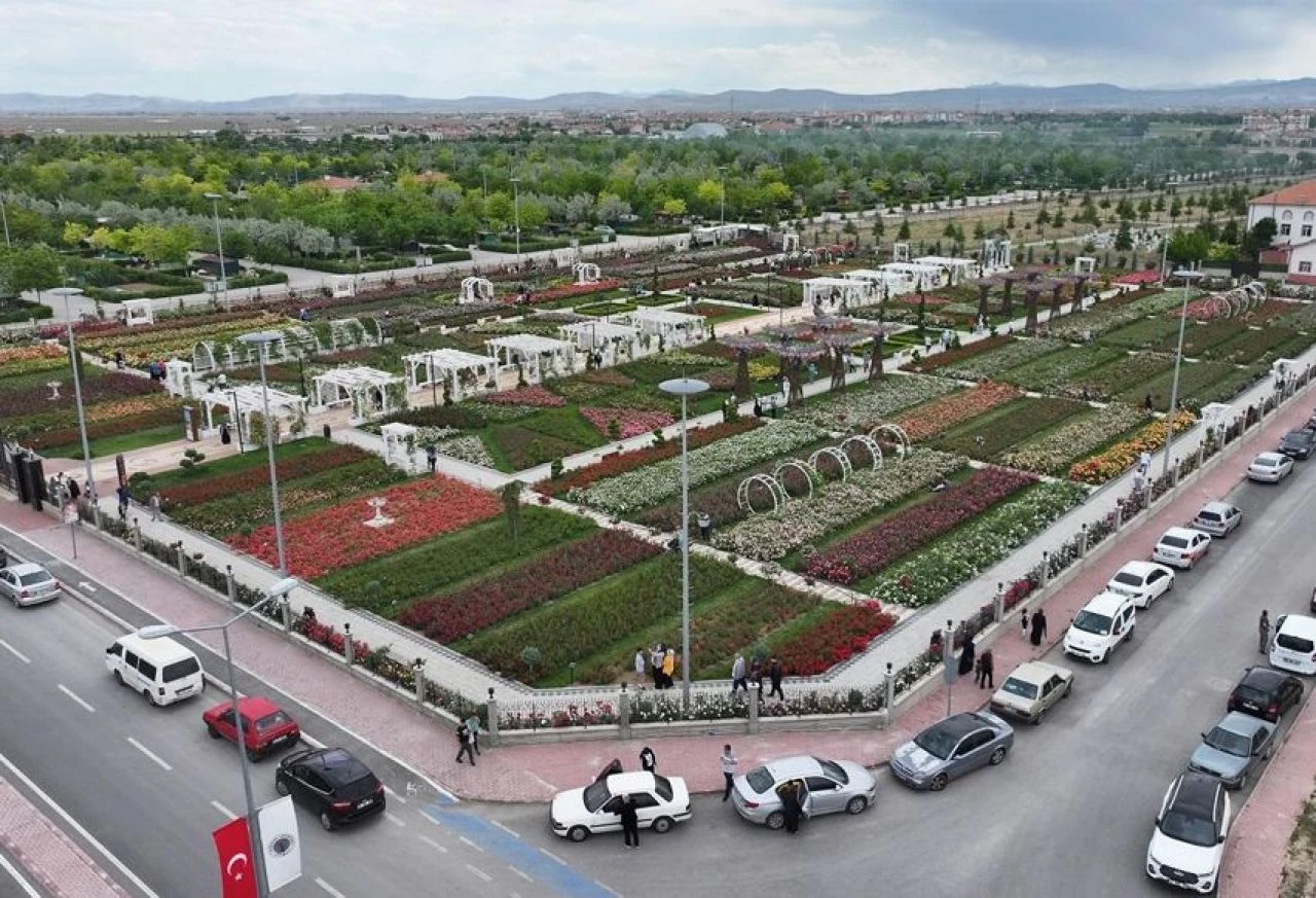 Şehir 190 farklı türden 50 bin gülle güzelleşti! Hem de çok... - 1. Resim