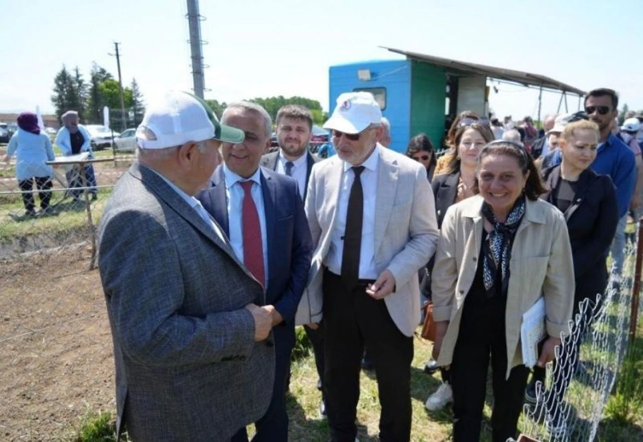 Canlı ağırlıkları artacak! Kuzu etinin fiyatını düşürecek projenin tanıtımı yapıldı - 1. Resim