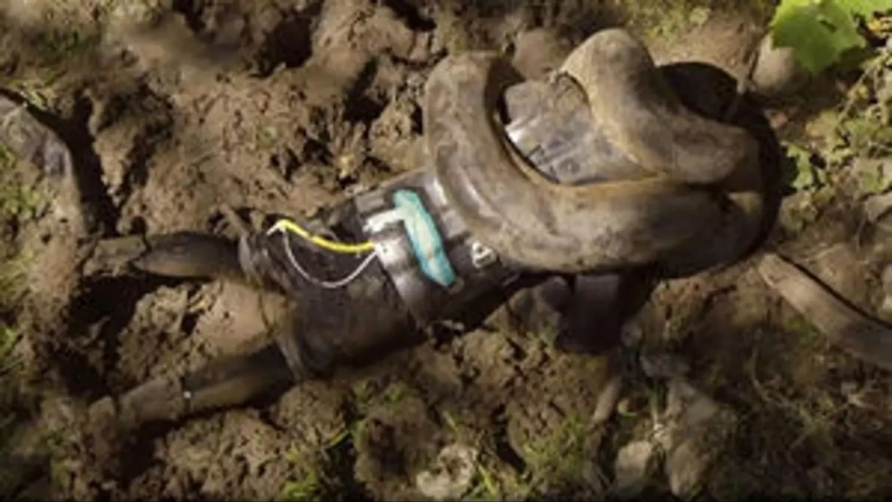 Dev anakonda adamı canlı canlı yutuyordu! Belgeselcinin dehşet anlarını arkadaşları kaydetti - 3. Resim