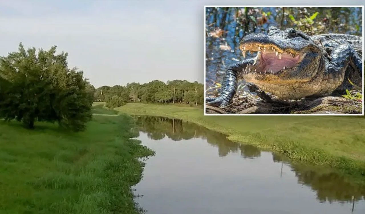Kayıp kadının cansız bedeni hayvanın ağzında bulundu! Otopsi yapılacak - 1. Resim