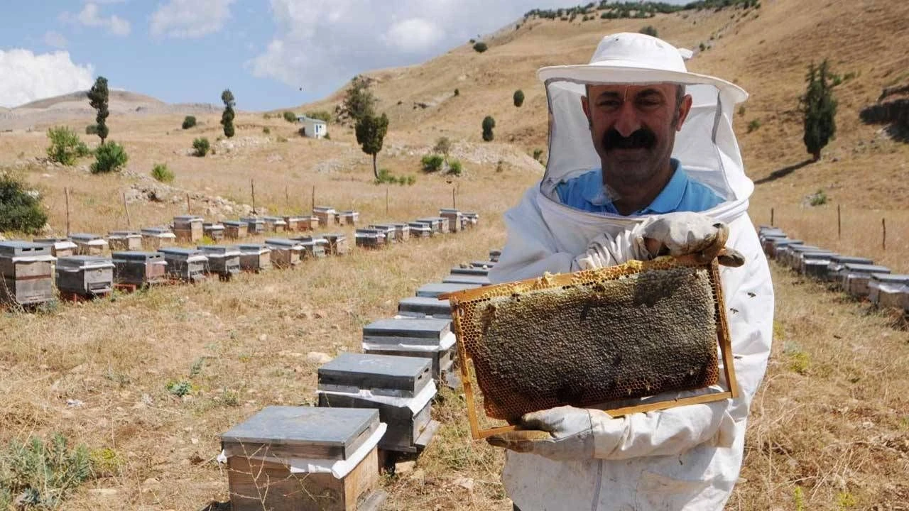 Komünist Başkan Fatih Mehmet Maçoğlu'nun yeni mesleği belli oldu