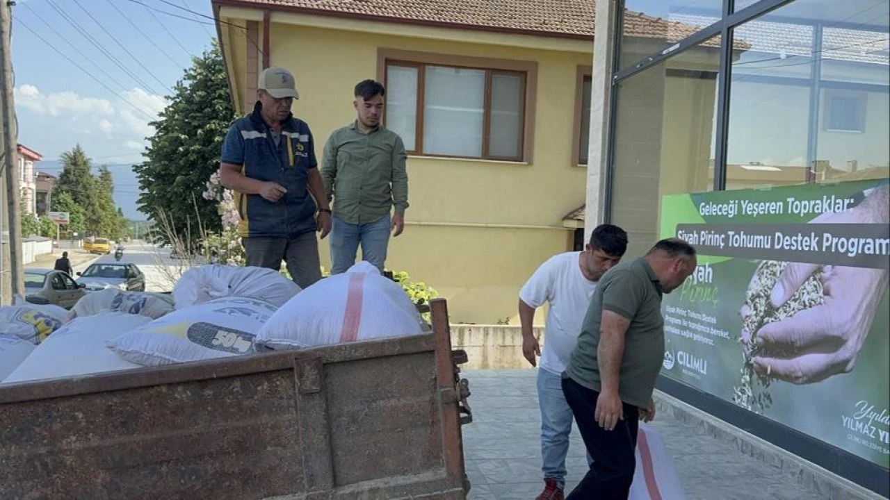 Siyah pirincin faydaları saymakla bitmiyor! - 1. Resim