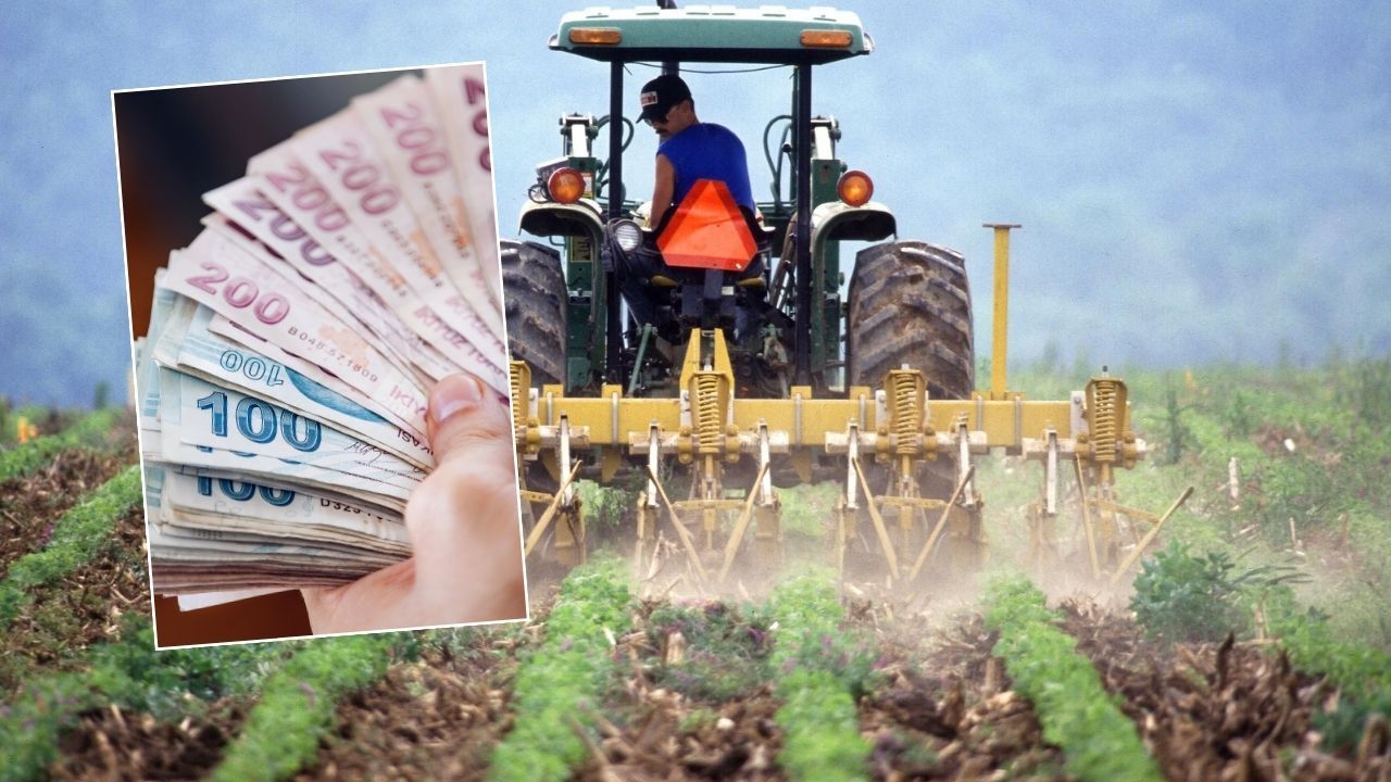 Ekonomi - Tarım ve Orman Bakanlığı’ndan çiftçilere müjde! 30 milyon 54 bin lira hesaplara yatacak
