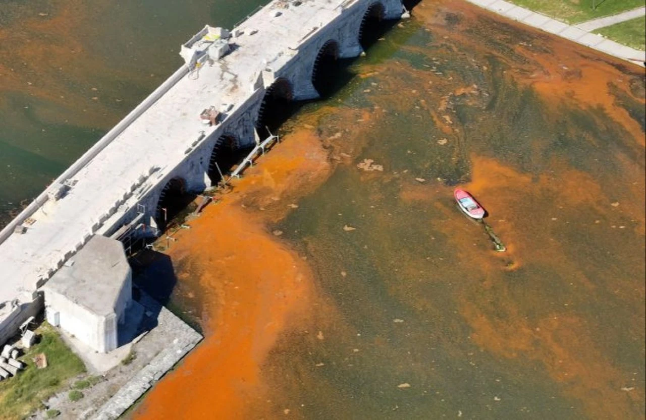 Büyükçekmece'de alg patlaması: Denizin rengi değişti