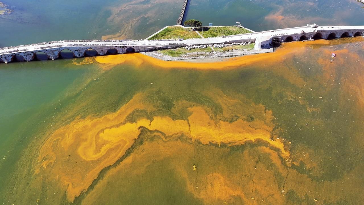 Büyükçekmece'de alg patlaması: Denizin rengi değişti - Gündem