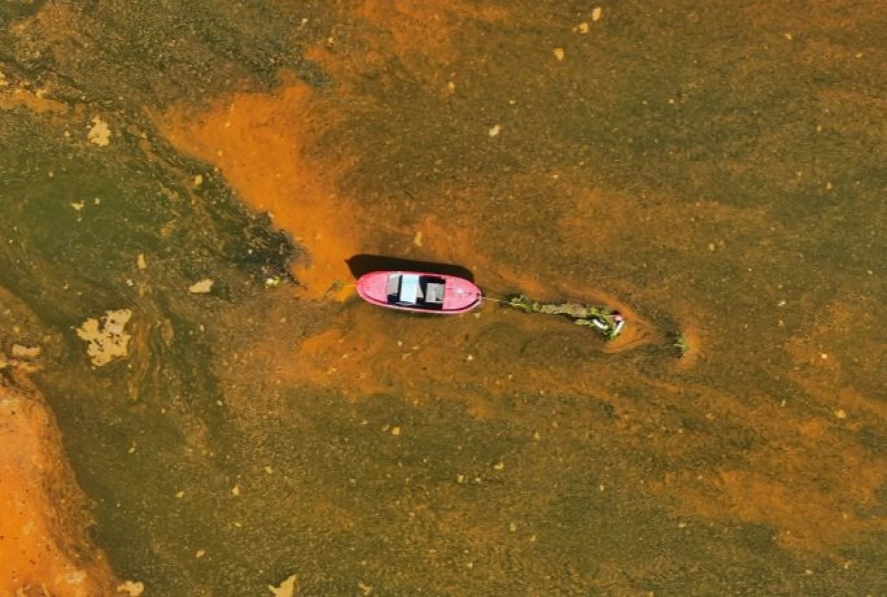 Büyükçekmece'de alg patlaması: Denizin rengi değişti