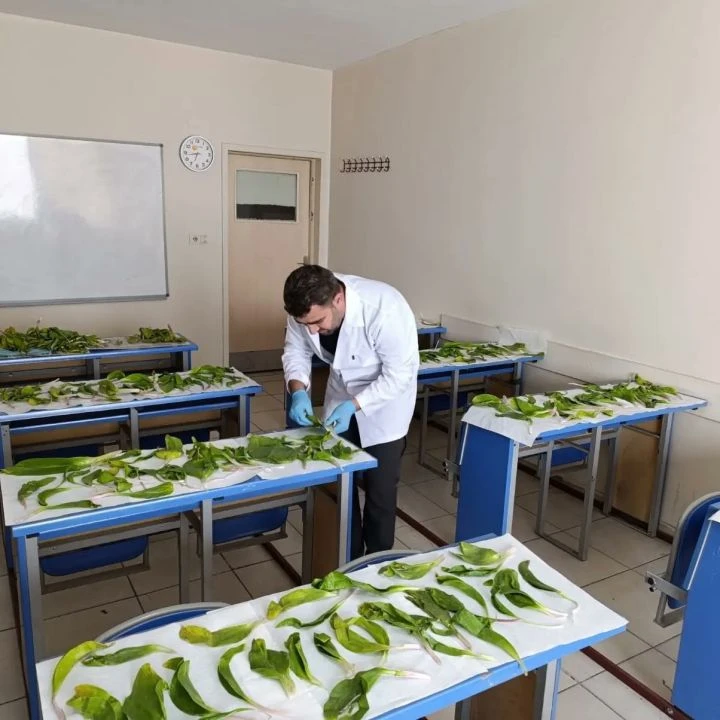 İranlı kişi Hakkari soğanını Türkiye'den kaçırırken yakalandı