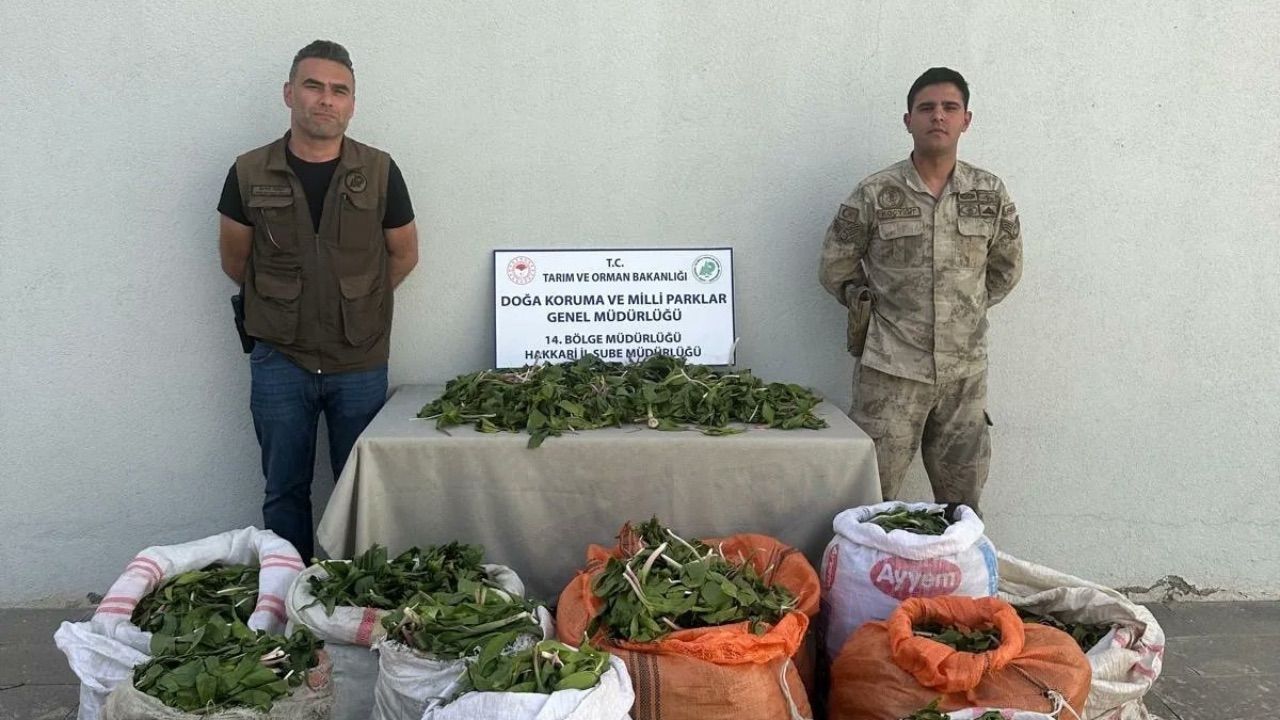 İranlı kişi Hakkari soğanını Türkiye'den kaçırırken yakalandı - Gündem