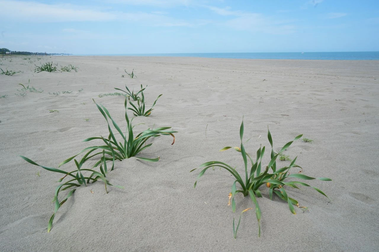 Koparan yandı! Cezası 387 bin 141 TL - 1. Resim