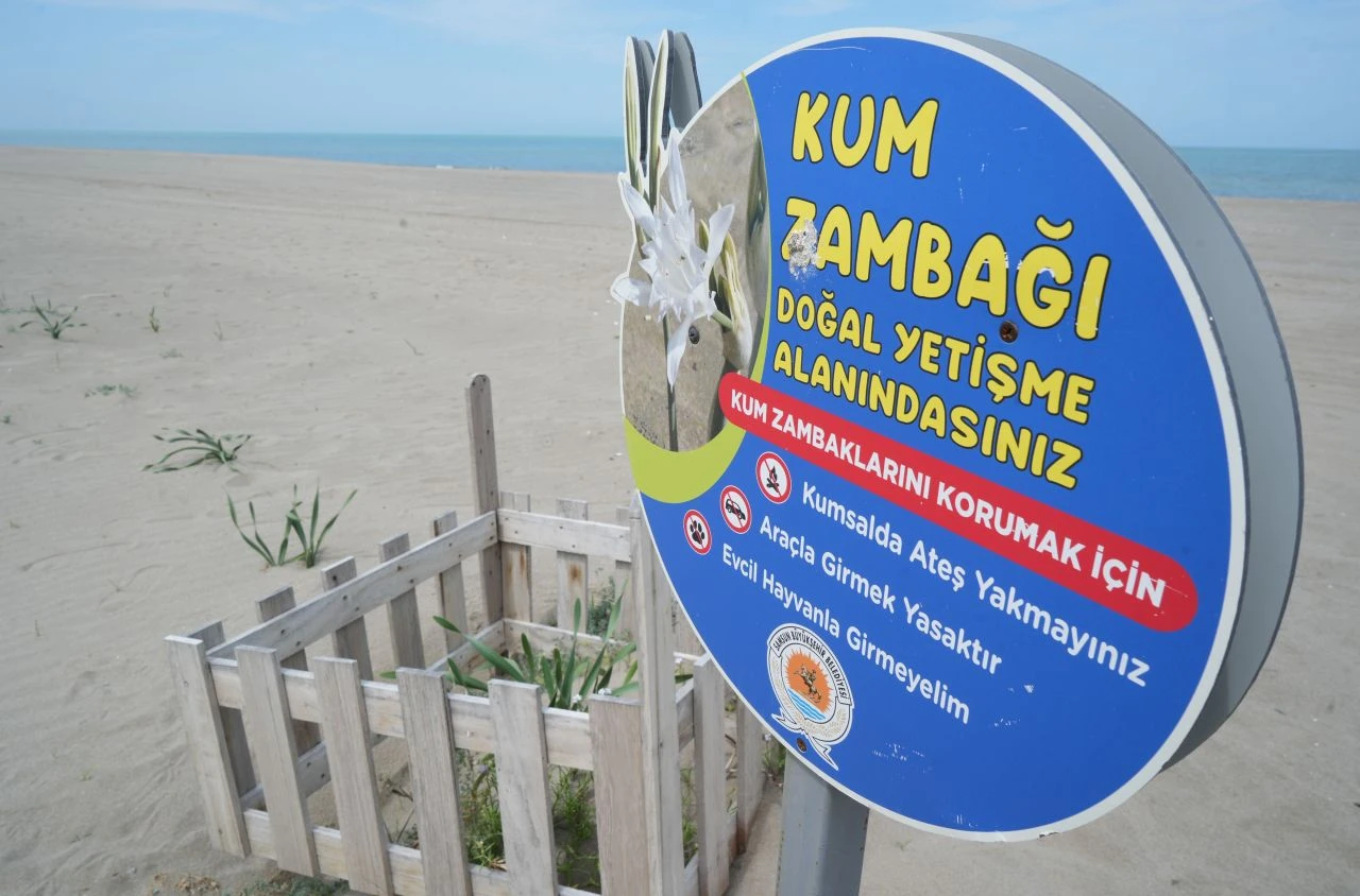 Koparan yandı! Cezası 387 bin 141 TL - 2. Resim