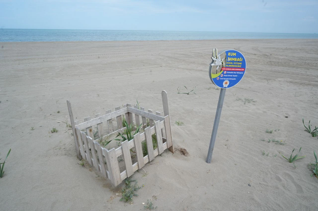 Koparan yandı! Cezası 387 bin 141 TL - 3. Resim