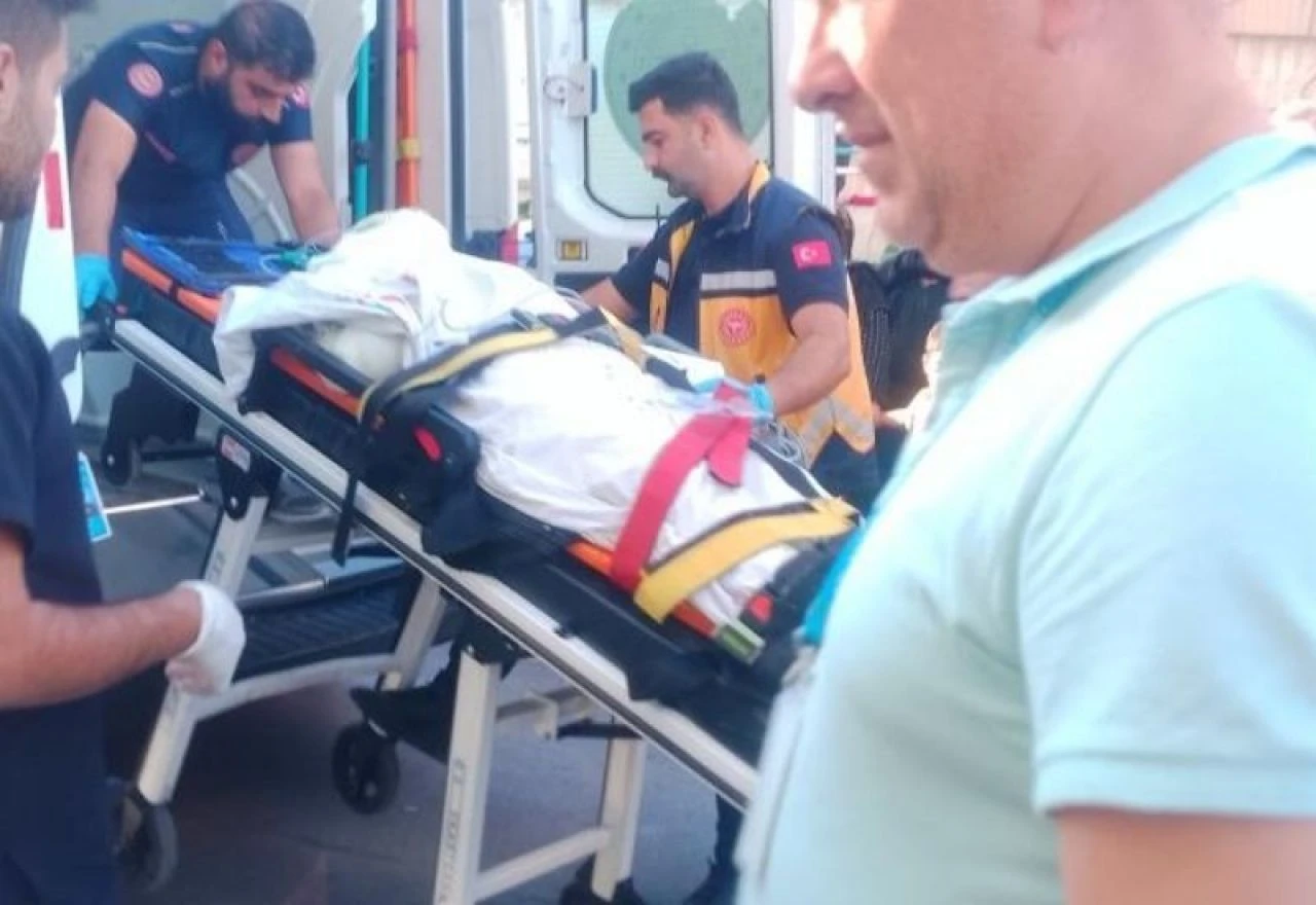 Şanlıurfa’da tarlada çalışırken elektrik akımına kapıldılar: Ölü ve yaralılar var! - 1. Resim