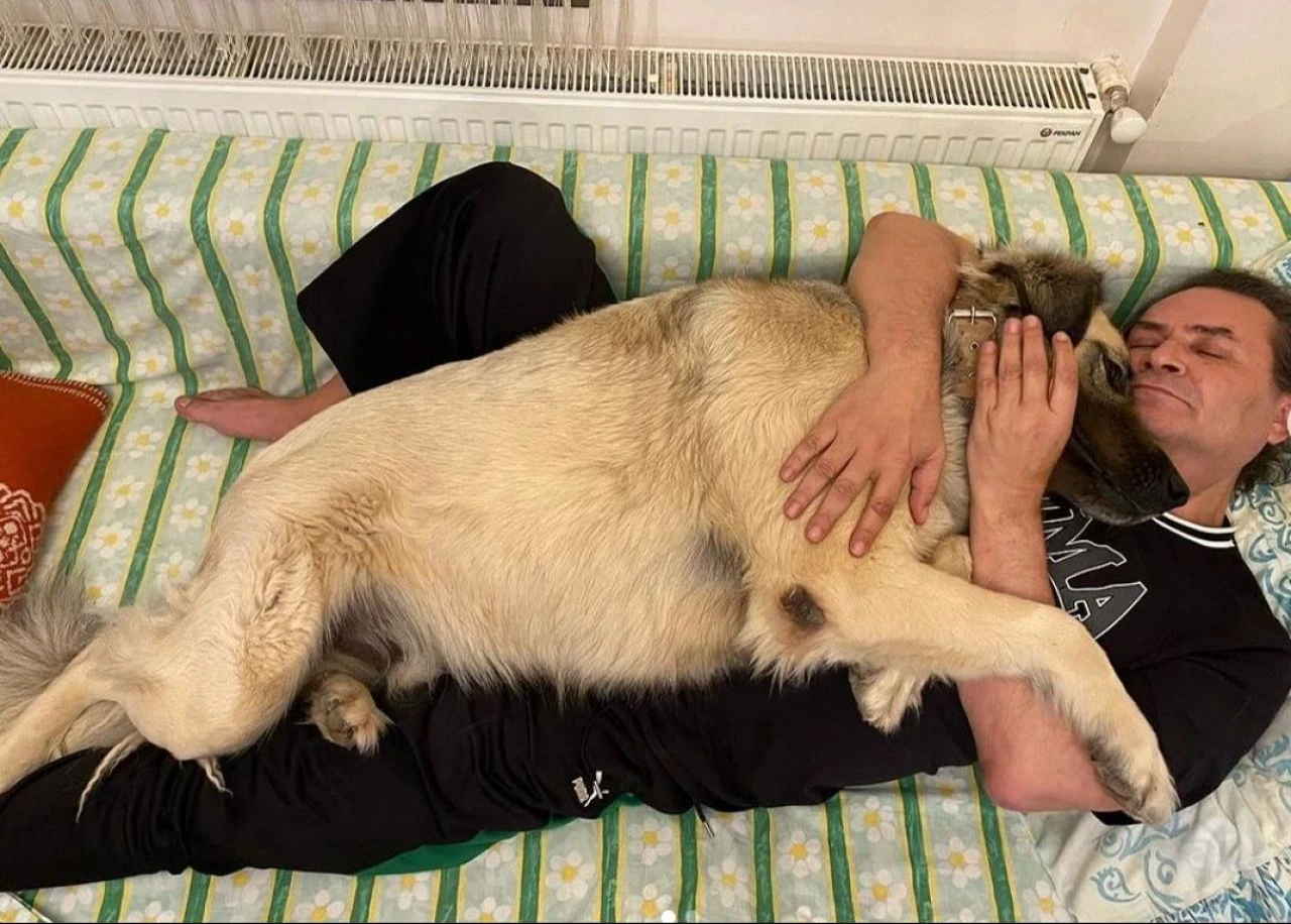 Armağan Çağlayan köpekler için eyleme katıldı: AK Parti'ye rapor gönderdiğini açıkladı