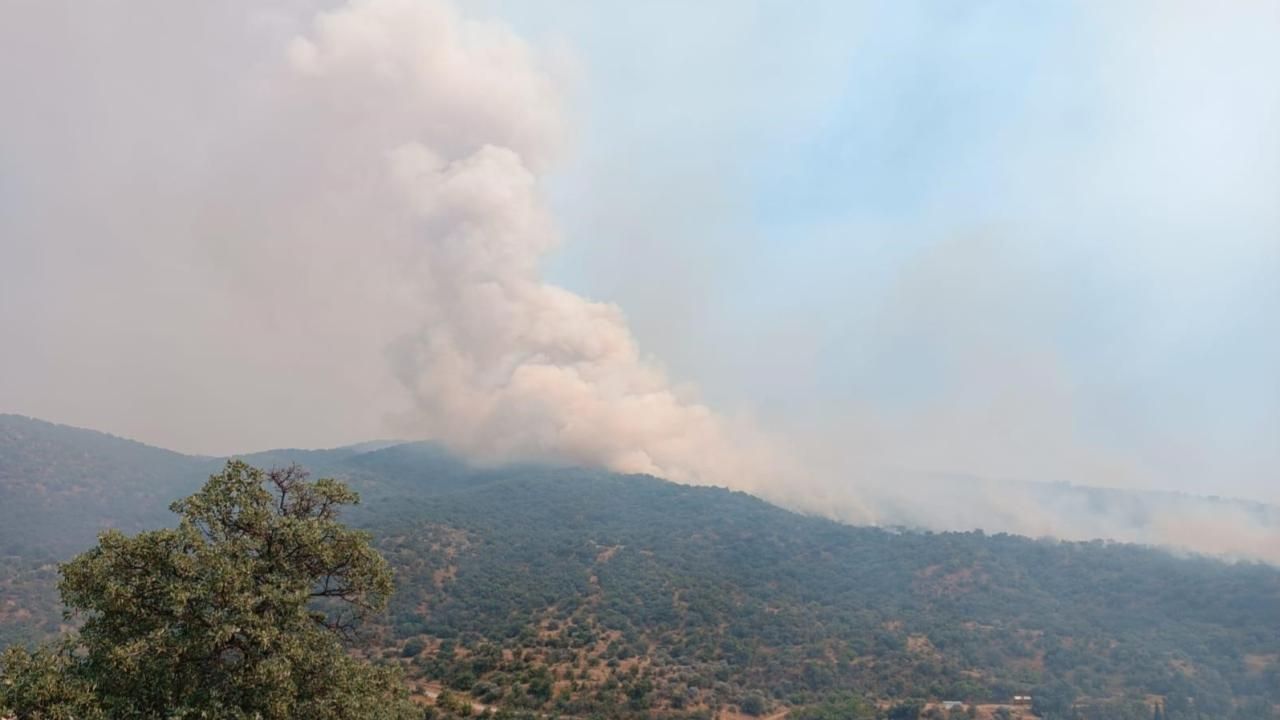 Manisa&#039;da korkutan orman yangını