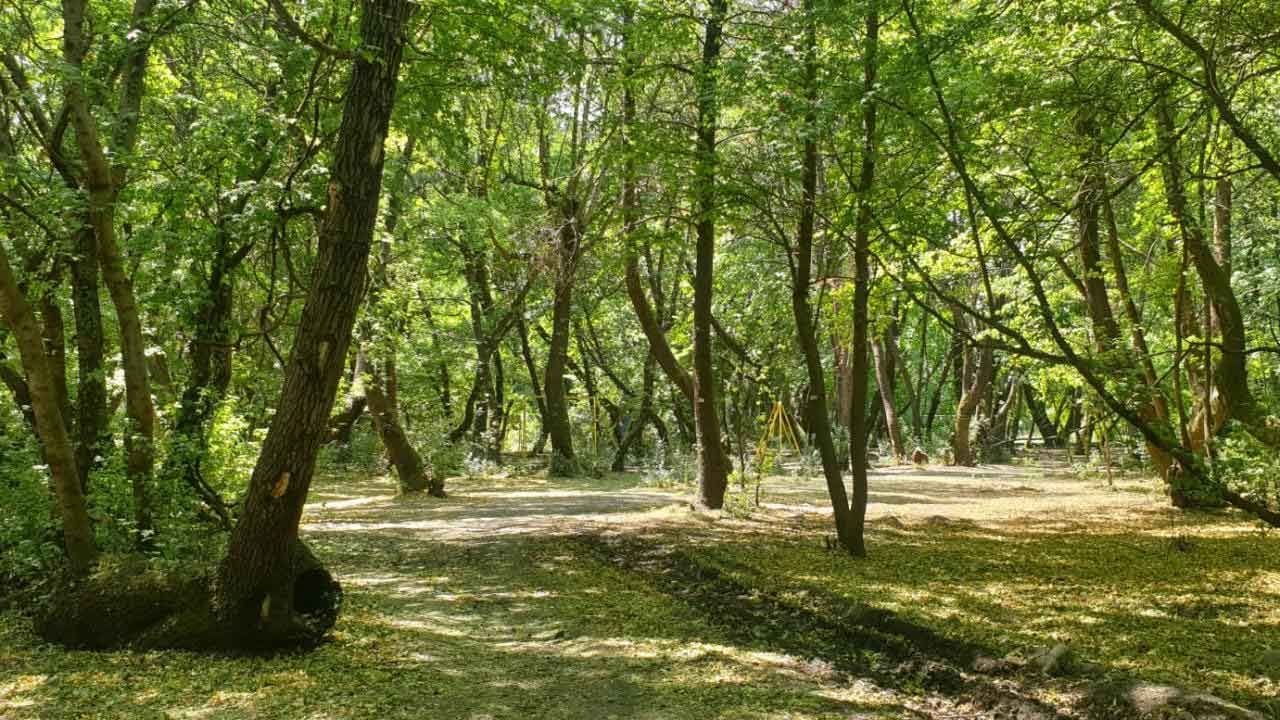 Balıkesir&#039;de ormanlık alanlara giriş ve çıkışlar yasaklandı