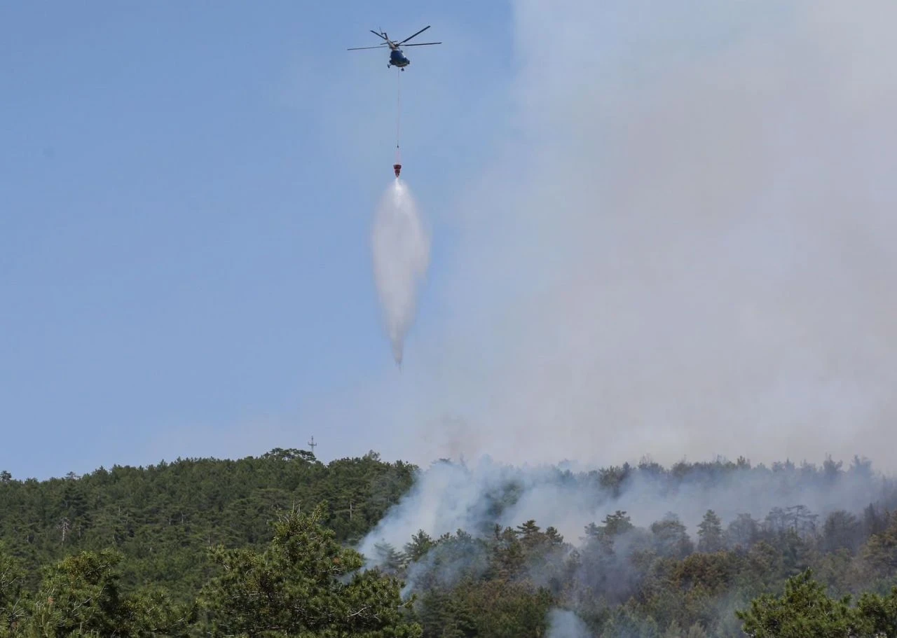 Bursa'da orman yangını! Havadan ve karadan müdahale ediliyor