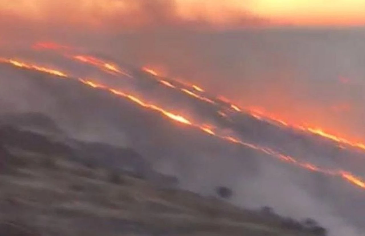 Şanlıurfa’da korkutan yangın: Binlerce fıstık ağacı etkilendi - 1. Resim
