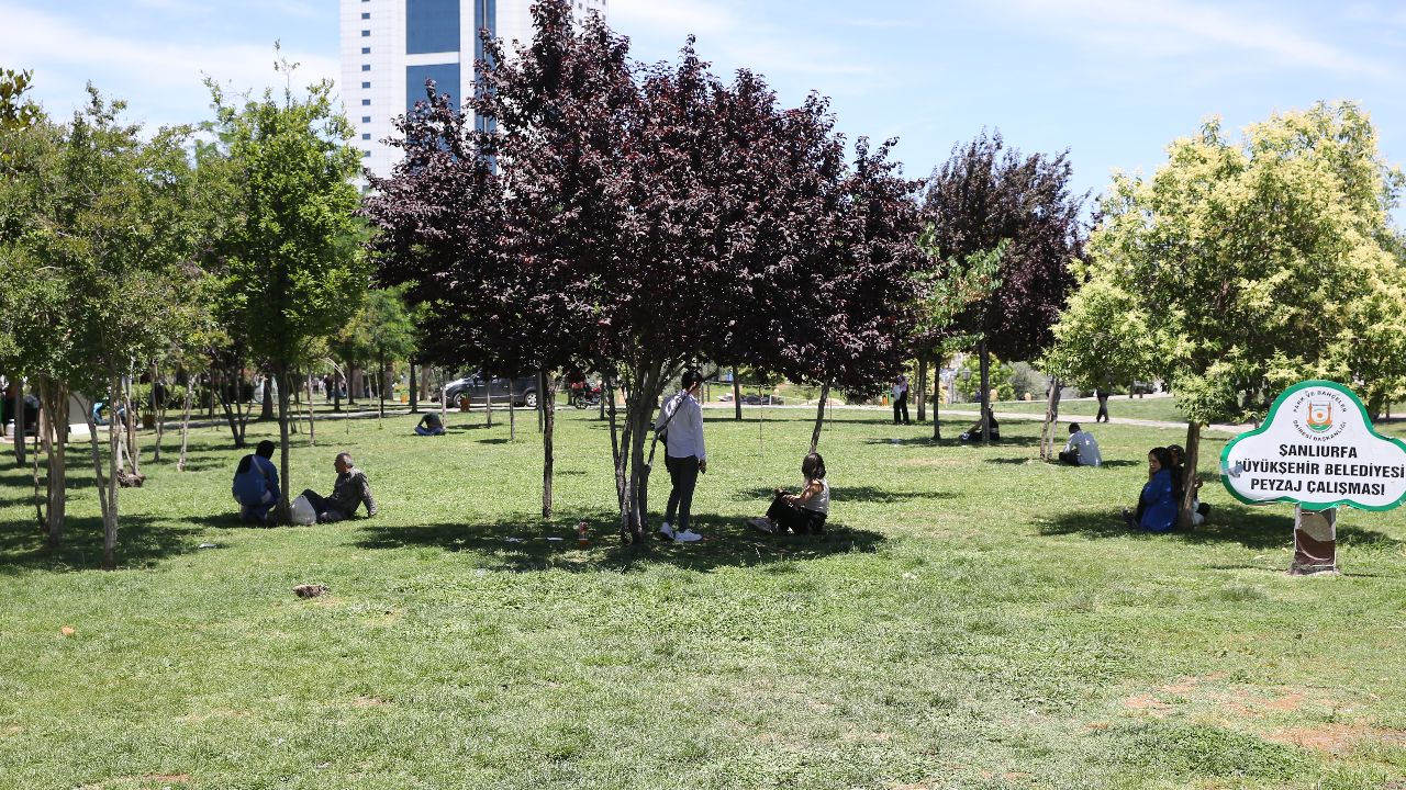 Türkiye de sıcaklık ölçümünün en yüksek olduğu şehir belli oldu! Alev alev yanıyoruz