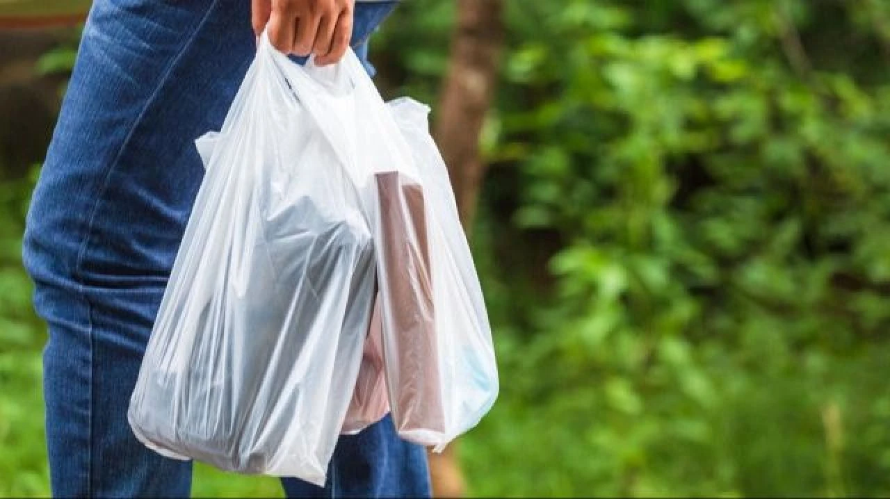 Ücretli poşet uygulaması ile 7 milyar TL tasarruf sağlandığı açıklandı