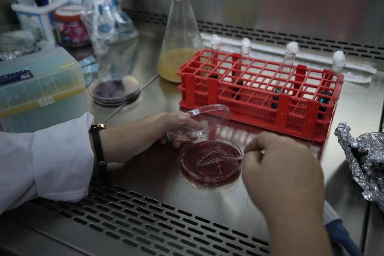 Ezine peyniri yapay zekaya emanet... Sahteciliğin önüne geçilecek! - 1. Resim